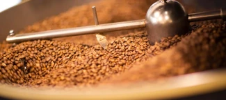 Kahve Seçiminde Dikkate Alınması Gerekenler